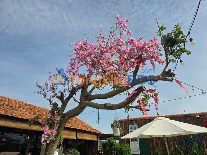 Đất nền Đơn Dương 250m² giá 835 triệu - Pháp lý rõ ràng