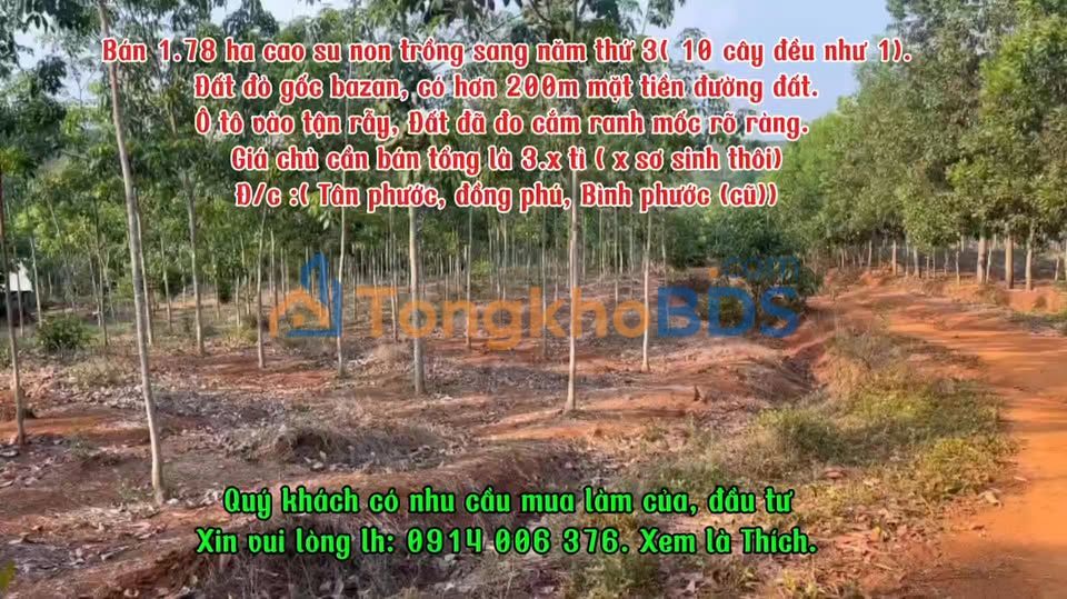 Đất vườn cao su Tân Phước 1.78ha giá 3 tỷ - Đầu tư dài hạn