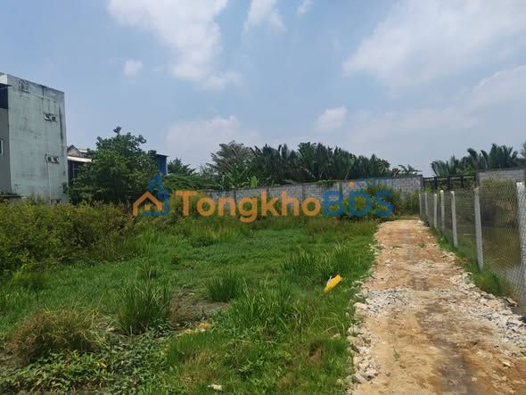 Đất nền Phú Hữu Quận 9 1541m² - Pháp lý rõ ràng