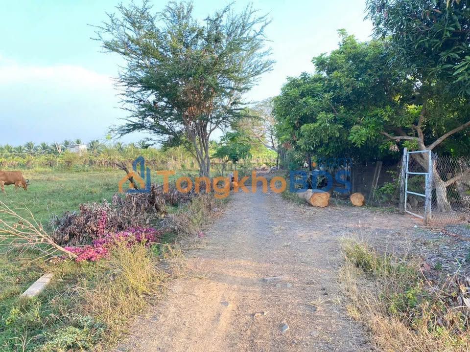 Đất thổ cư Hàm Đức 250m² giá 690 triệu - Đường to ô tô