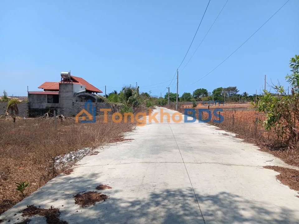 Đất vườn Trần Bình Trọng Mũi Né 1000m² - Đường to ô tô