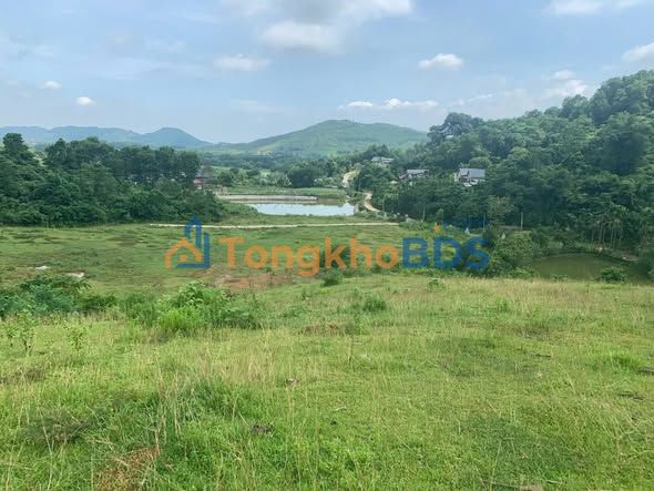 Đất vườn Yên Xuân Hòa Lạc 2000m² giá 6 tỷ - Nghỉ dưỡng lý tưởng