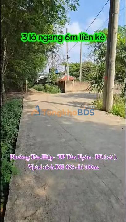 Đất nền Tân Hiệp Tân Uyên 330m² - Đường to ô tô