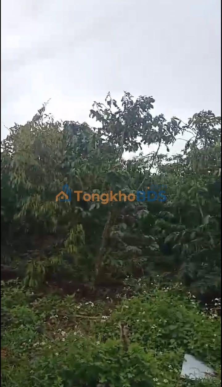 Đất Vườn Tân Thanh, Lâm Hà 2520m² giá 2.3 tỷ - Giá đầu tư tốt