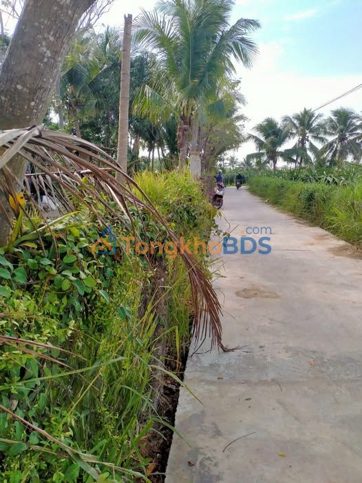 Đất vườn thổ cư Hàm Mỹ 720m² giá 2 tỷ - Nghỉ dưỡng lý tưởng