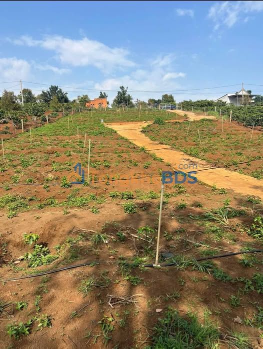 Đất vườn Tân Hà 792m² giá 1.55 tỷ - Nghỉ dưỡng lý tưởng