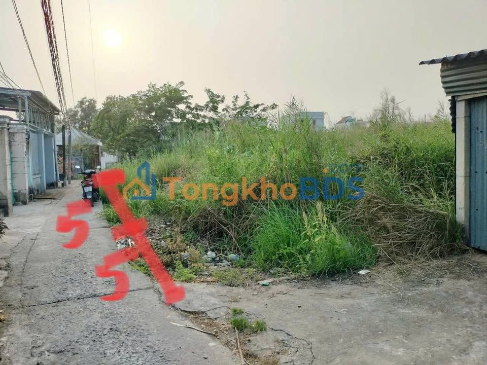 Đất nền Phường 5 Tân An 110m² đất thổ cư 100%