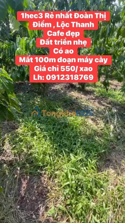 Đất vườn Lộc Thanh Bảo Lộc 1.3ha đẹp - Sinh thái xanh