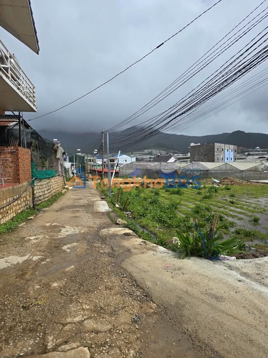 Đất nền Lạc Dương 100m² 2.45 tỷ - Sổ đỏ chính chủ