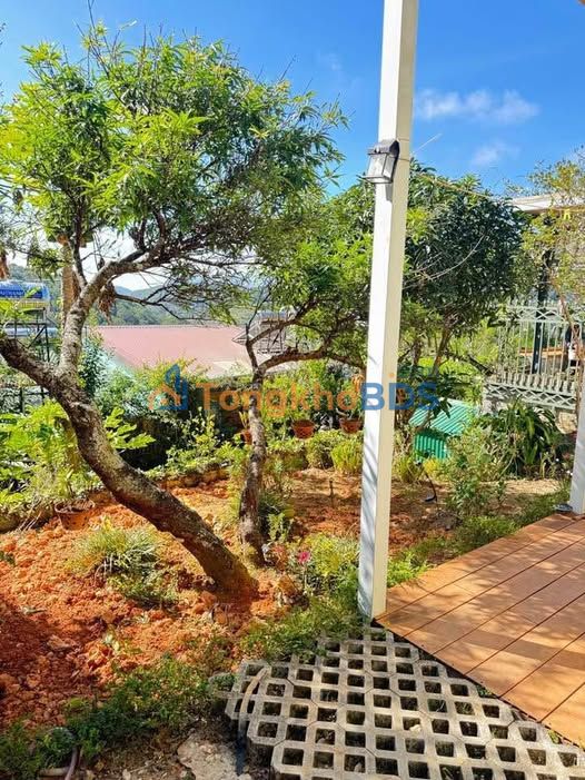 Homestay Lê Văn Tám Đà Lạt 355m² - Ô tô vào tận nhà