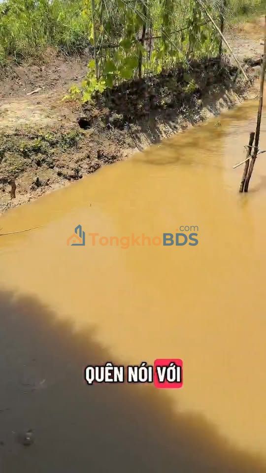 Nhà vườn Mỹ Thạnh Đông 1000m² 750 triệu - Ô tô vào tận nhà