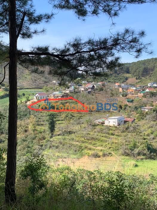 Đất vườn D'Ran 900m² view thị trấn - Nghỉ dưỡng lý tưởng