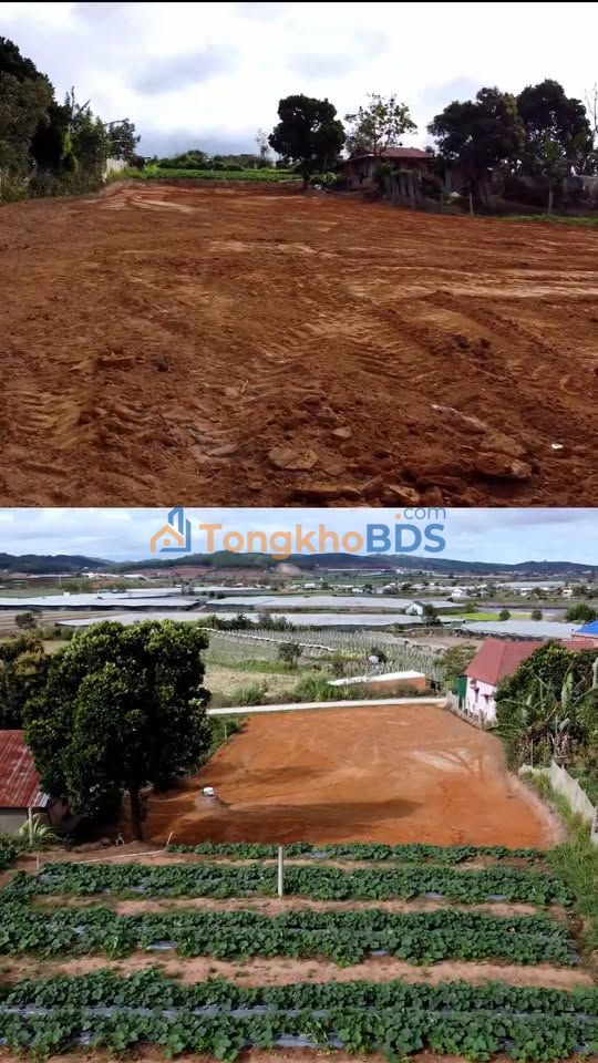 Đất nền Quảng Lập 350m² giá 500 triệu - Tiềm năng tăng giá