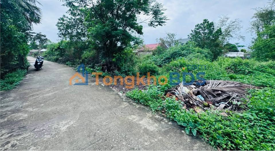 Đất vườn Tam Kỳ 581m² giá 1.x tỷ - Đường ô tô tới đất