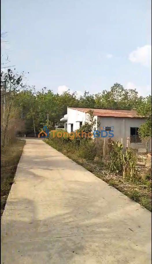 Đất nền Thanh An Dầu Tiếng 210m² - Đất thổ cư 100%