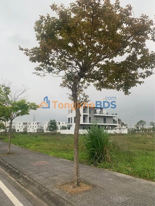 Liền kề Hud4 Sầm Sơn 112m² giá 1xx triệu/m² - Tiềm năng tăng giá!