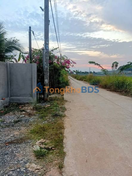 Đất vườn Tân Thạnh Đông Củ Chi 1008m² - Đầu tư dài hạn