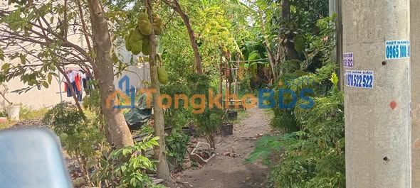 Đất nền Nguyễn Thị Dưỡng 200m² 1.7 tỷ - Pháp lý rõ ràng