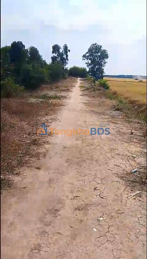 Đất nông nghiệp Thủy Tây 10342m² giá 1.4 tỷ - Giá đầu tư tốt