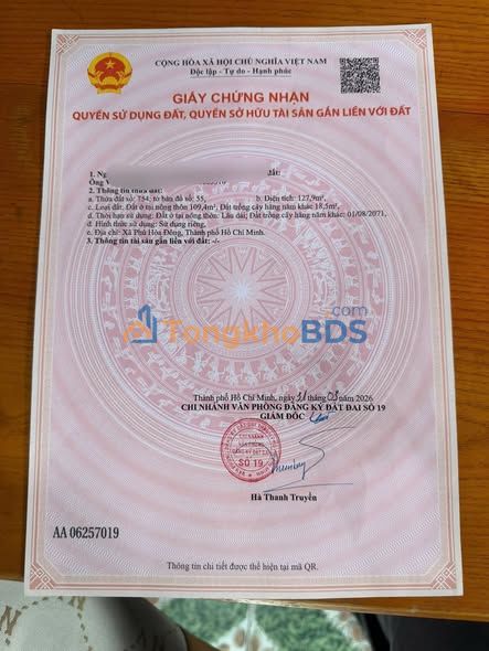 Nhà cấp 4 mặt tiền Tân Thạnh Đông 128m² - Giá tốt