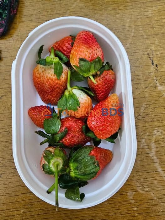 Nhà riêng Quận 10 76m² giá 2.5 tỷ - Ô tô vào tận nhà