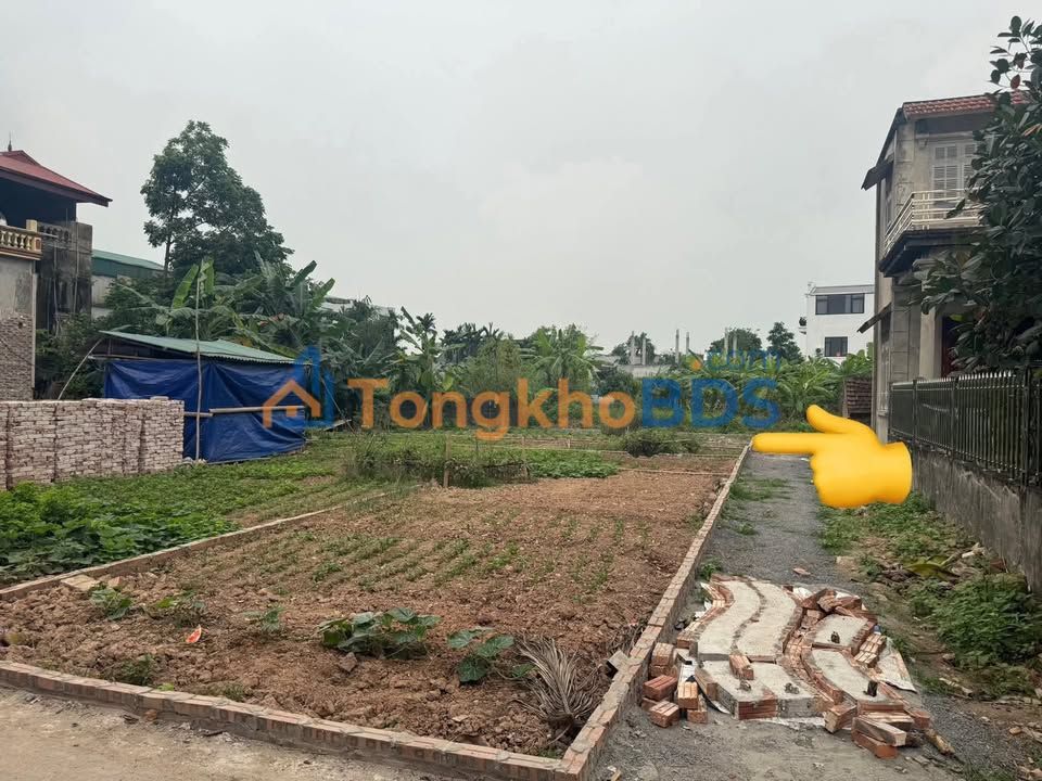 Lô đất Tứ Giáp Duy Tiên 80m² giá từ 1 tỷ - Đường to ô tô
