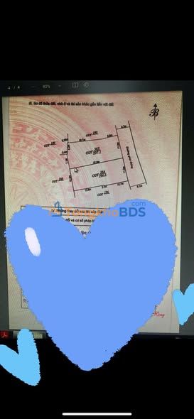 Đất nền Hải Hòa Nghi Sơn 297m² đường 8m - Xây dựng tự do