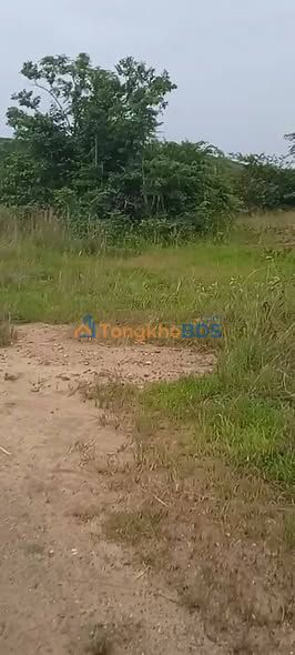 Đất trang trại Sông Lũy Bắc Bình 4ha - Sinh thái xanh