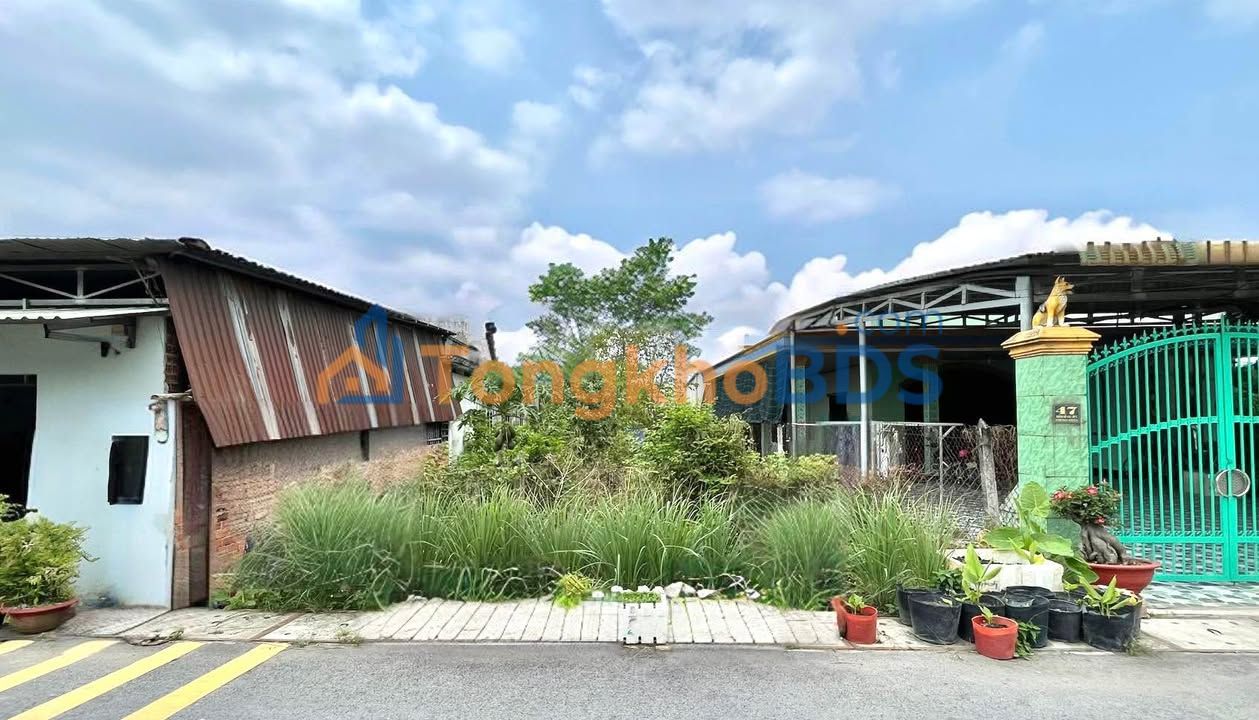 Đất nền Nguyễn Thị Xạnh Củ Chi 352m² đất thổ cư 100%