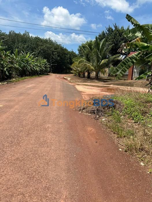 Đất nền Tân Lợi Đồng Phú 406m² - Sổ đỏ chính chủ