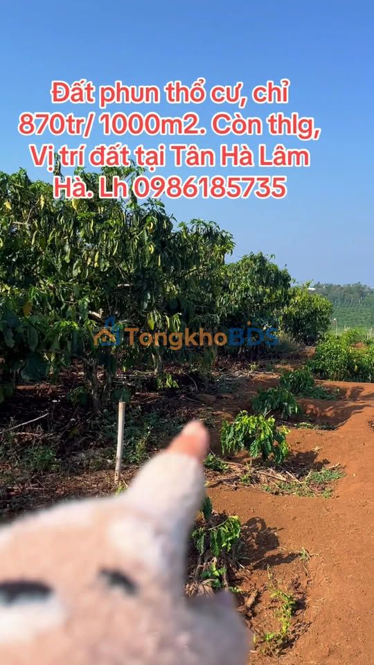 Đất nền Tân Hà Lâm Hà 1000m² giá 870 triệu - Sổ đỏ chính chủ