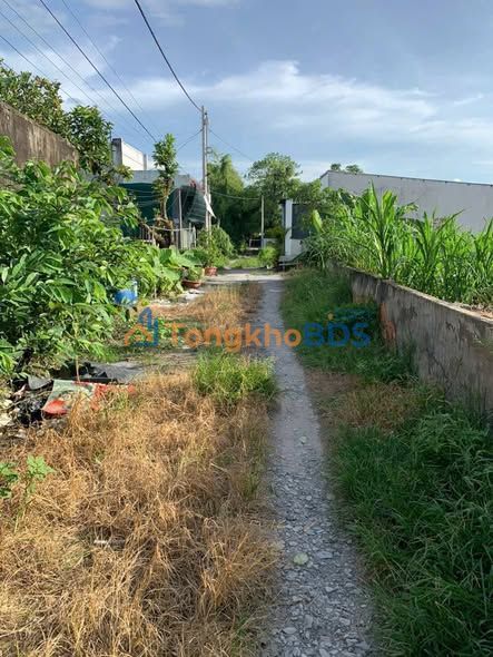 Đất nền Nguyễn Kim Cương Củ Chi 198m² - Đất thổ cư 100%