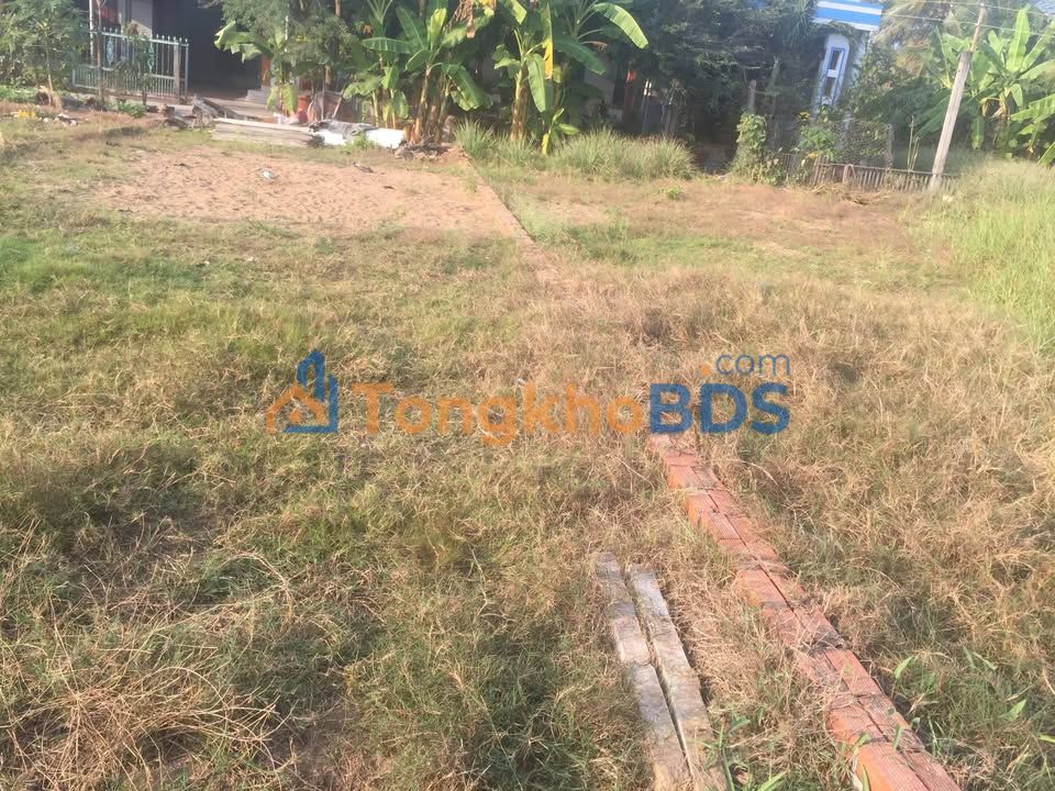 Đất nền Đông Thạnh Cần Giuộc 98m² giá 9xx triệu - Đất thổ cư 100%