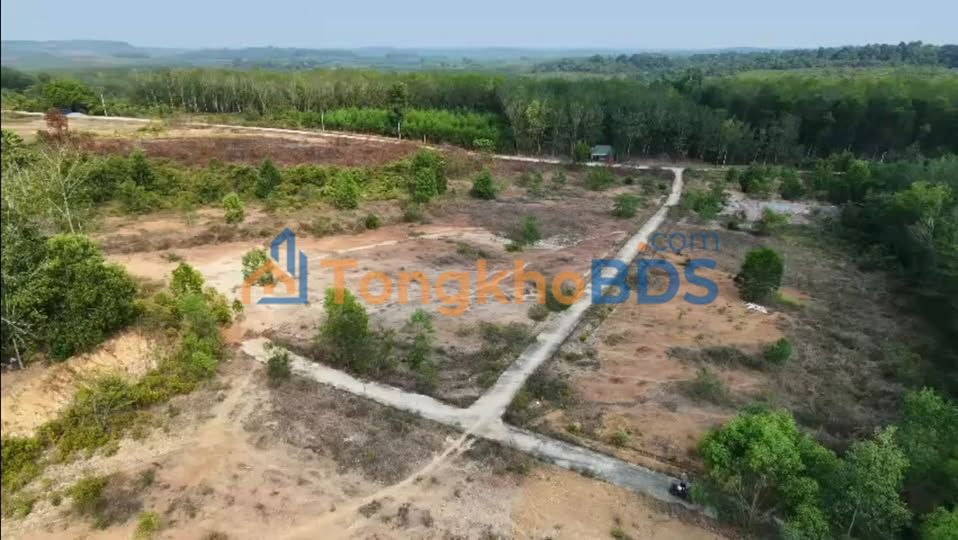 Đất vườn Tân Lợi Đồng Phú 3650m² giá 6xx triệu - Giá đầu tư tốt