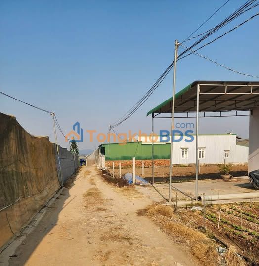 Đất nghỉ dưỡng Thạnh Mỹ Đơn Dương 160m² - Giá F0 CĐT