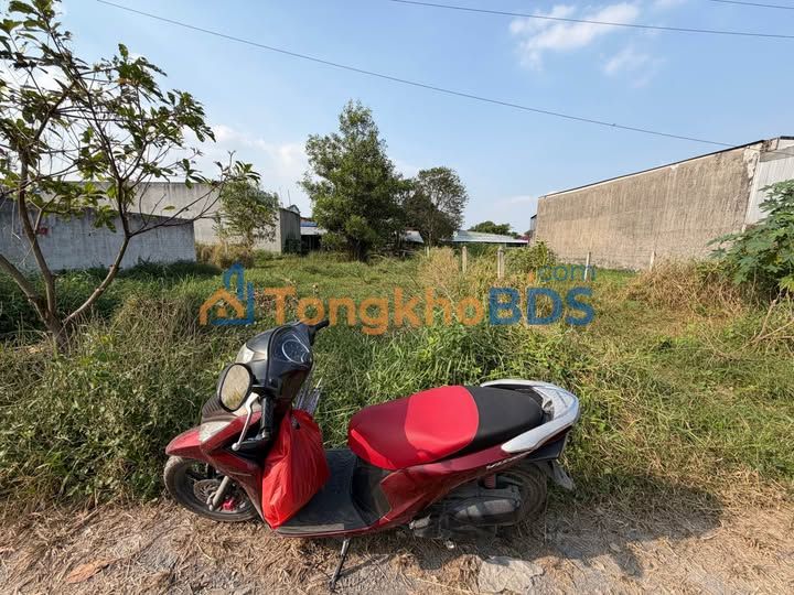 Đất nền Tân Thạnh Đông Củ Chi 117m² - Đất thổ cư 100%