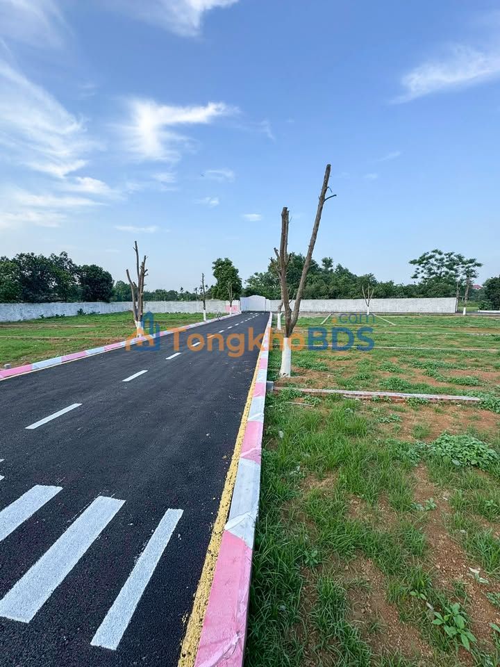 Đất nền thổ cư An Khánh Hoài Đức 120m² - Tiềm năng tăng giá