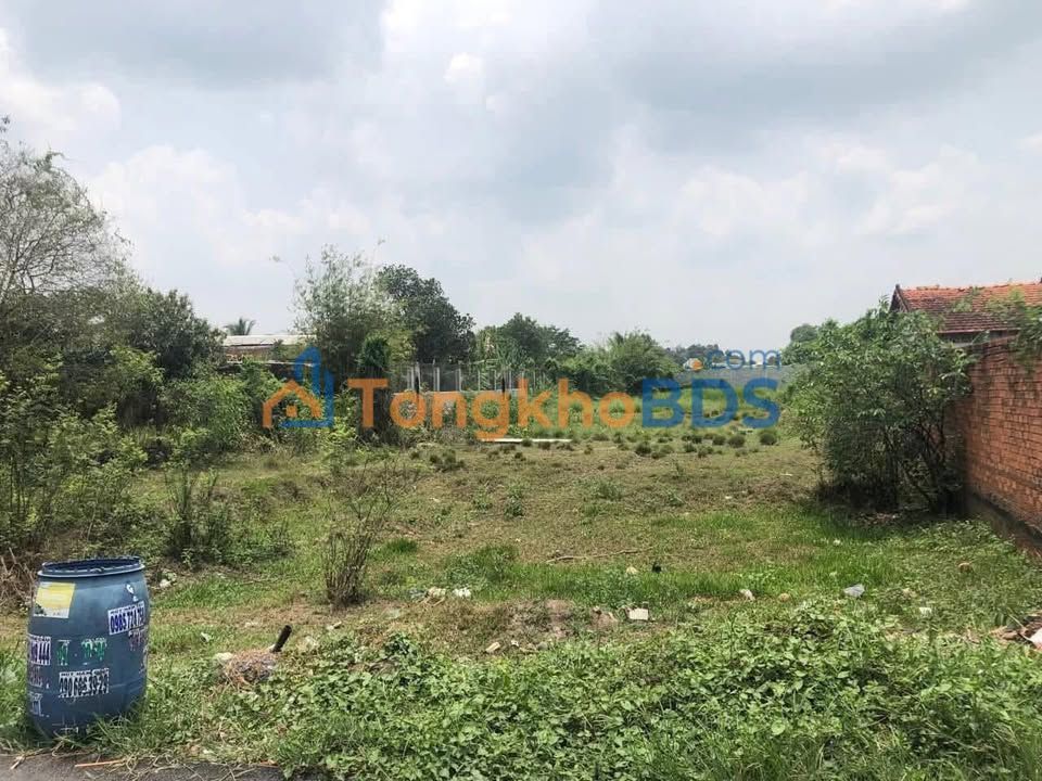 Đất nền Tân Thông Hội Củ Chi 2170m² - Đường to ô tô
