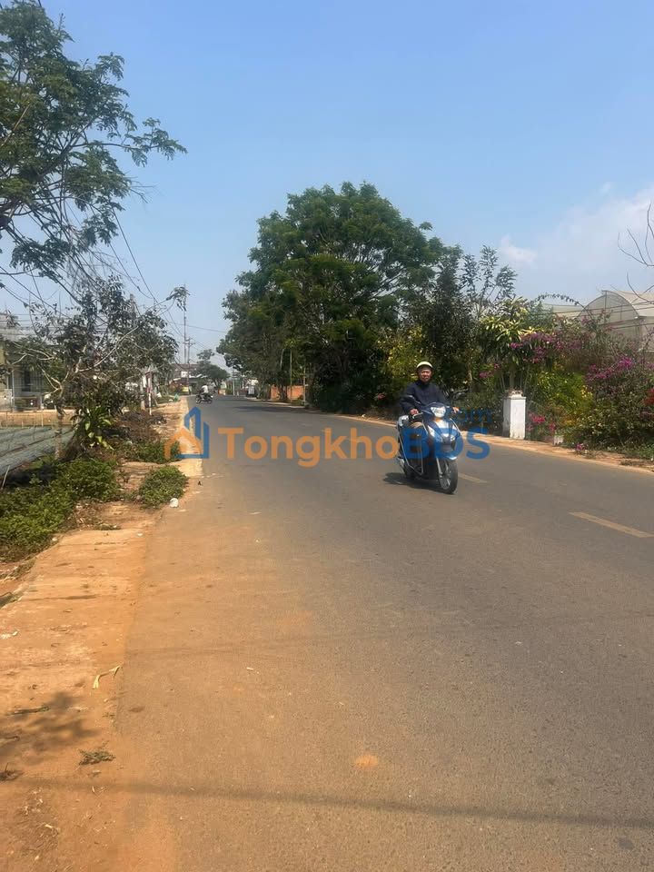 Đất nền Quảng Lập Đơn Dương 320m² - Đường to ô tô