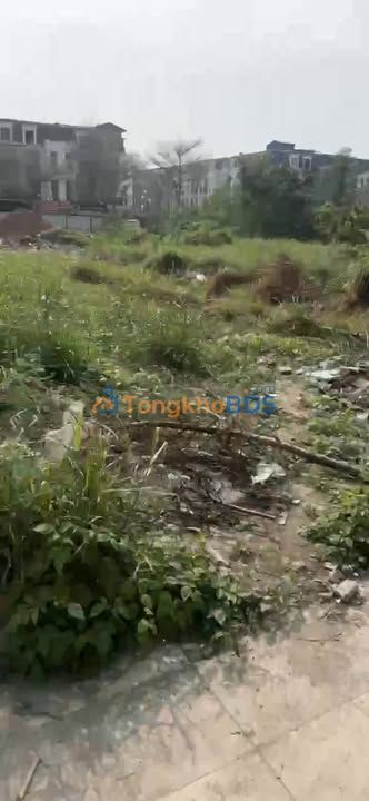 Đất nền HUD 2 Sơn Tây 120m² - Pháp lý rõ ràng, đường ô tô