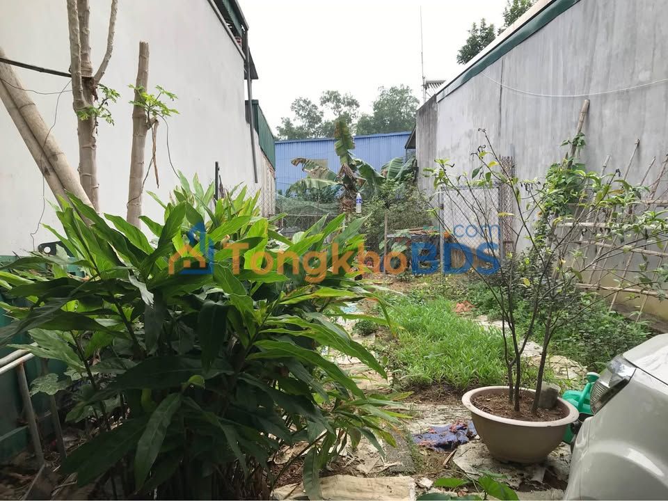 Đất nền Nam Thanh 118m² giá 800 triệu - Đường to ô tô