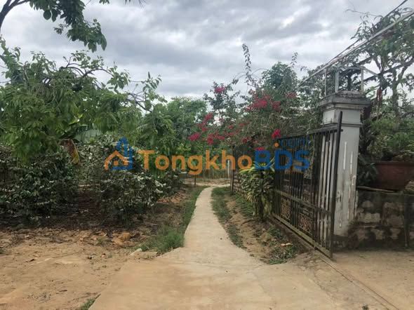 Đất vườn D'Ran Đơn Dương 10.000m² giá 6.5 tỷ - Nghỉ dưỡng lý tưởng!