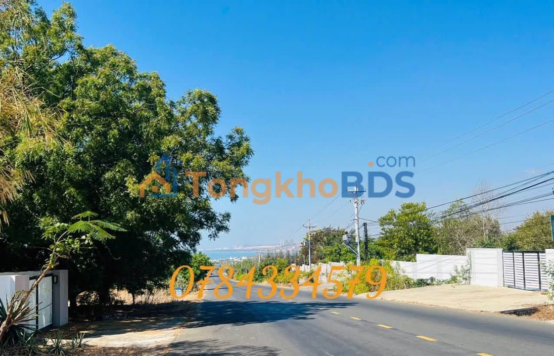 Đất vườn Hòa Thắng Bình Thuận 3.900m² giá 7.8 tỷ - Tiềm năng lớn