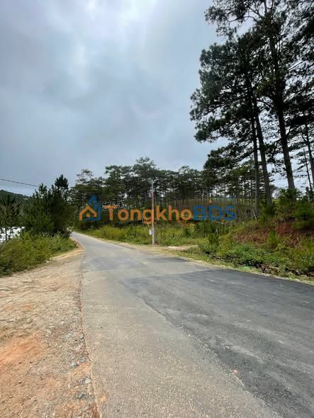 Đất vườn Lạc Dương 8.000m² giá 2.7 tỷ - Nghỉ dưỡng lý tưởng