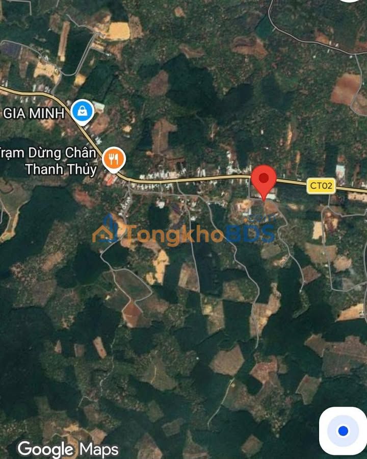 Đất vườn Đồng Tâm, Đồng Phú 1.1ha giá 1.1 tỷ - Tiềm năng tăng giá!