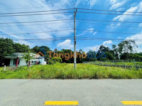 Đất nền Bà Thiên Củ Chi 1167m² pháp lý rõ ràng