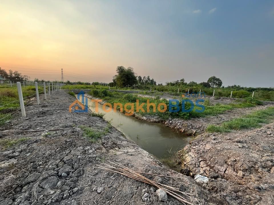Đất vườn Trung An Củ Chi 1000m² 850 triệu - Giá đầu tư tốt