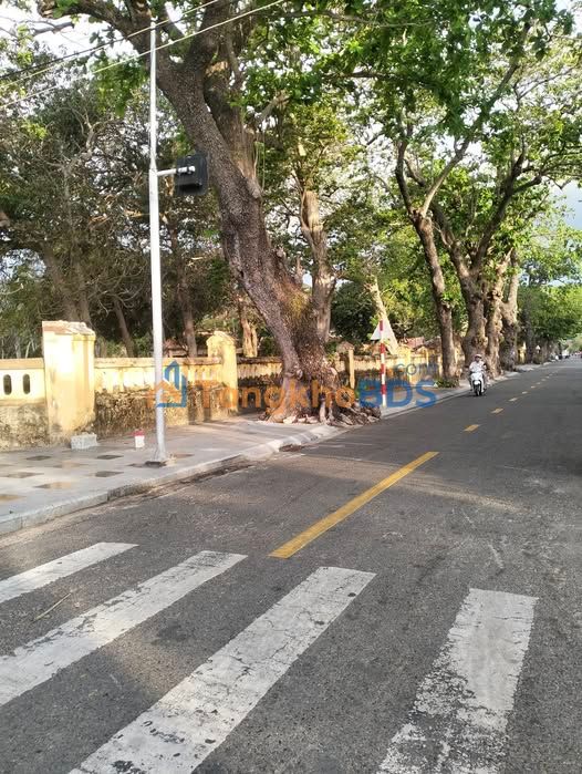 Đất sào Tân Lợi Đồng Phú 1000m² - Sổ đỏ chính chủ