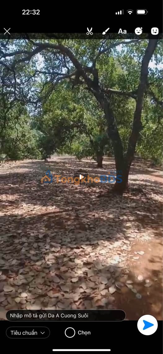 Đất vườn Tân Hưng Đồng Phú 3.8ha giá 6 tỷ - Đầu tư dài hạn