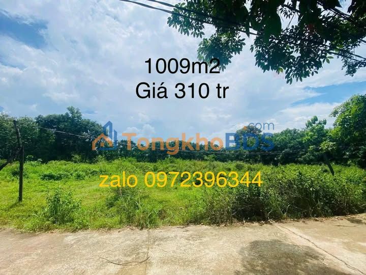 Đất nền Minh Hưng 1000m² 310 triệu - Giá đầu tư tốt